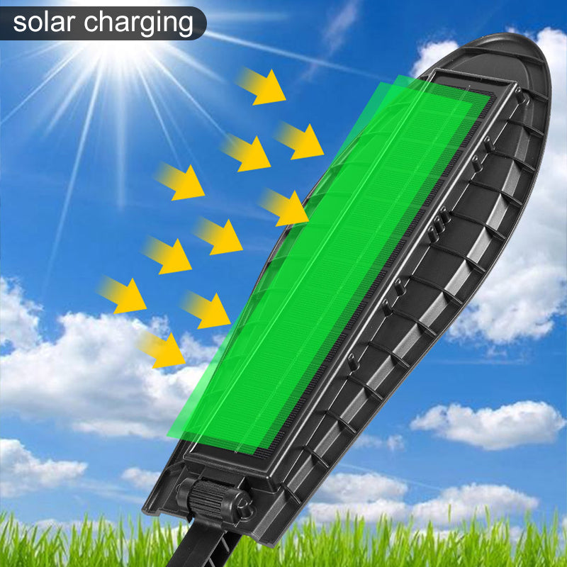 Solar Power Induction Street Light